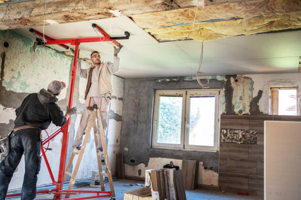 Best Insulation for New Construction  in Mshall, AR