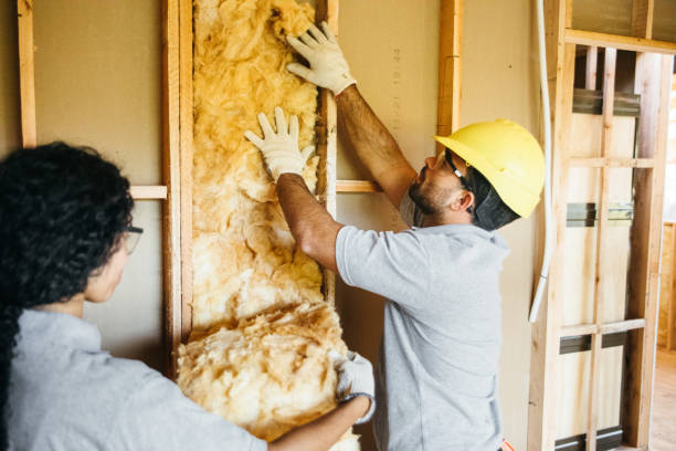Best Local Insulation Services  in Mshall, AR