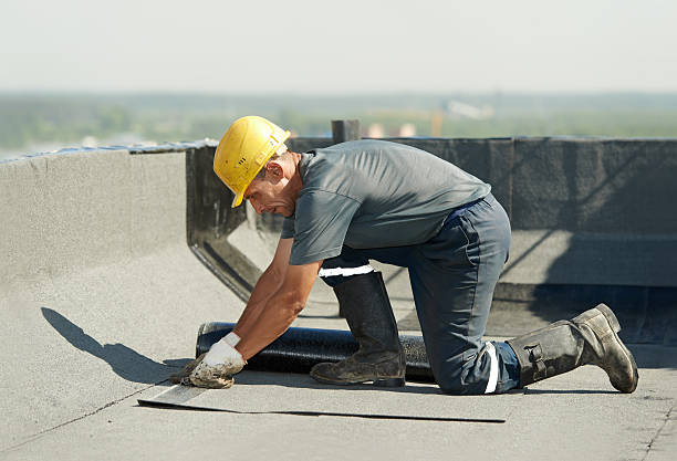 Best Cellulose Insulation  in Mshall, AR
