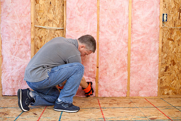 Best Insulation Repair Services  in Mshall, AR