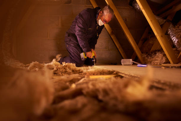 Best Crawl Space Insulation  in Mshall, AR