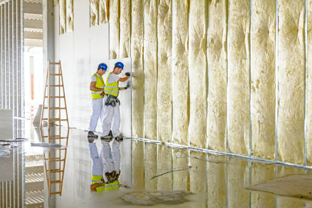 Best Blown-in Insulation  in Mshall, AR